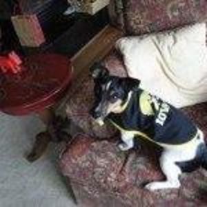 Meet your Posher, Caroline